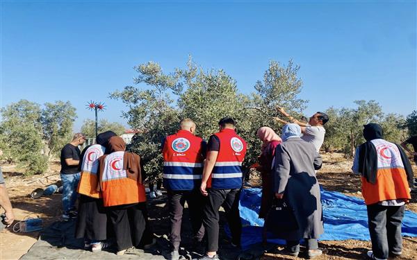 بلدية صوريف تشارك في الحملة الوطنية التطوعية لقطف الزيتون تحت شعار 